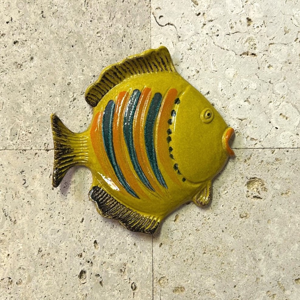 貝 サンゴ 夜光貝